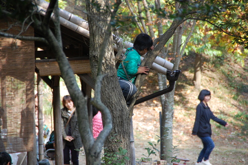 「きのくに子どもNPO」が孝子の森にやってっ来た_c0108460_39322.jpg