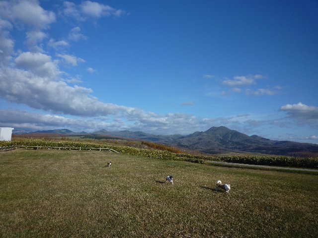 d0129962_0151569.jpg