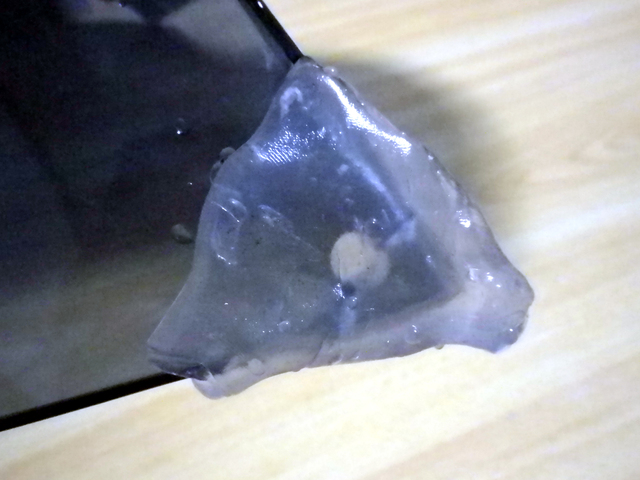 d0179762_06356.jpg