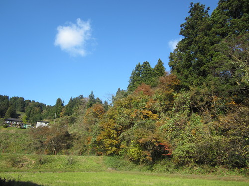 e0148662_633978.jpg