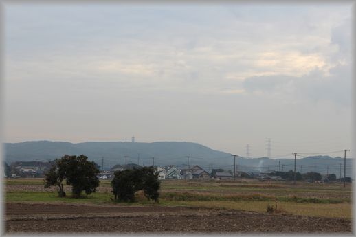 雨の降る前に収穫です_e0232963_13534822.jpg