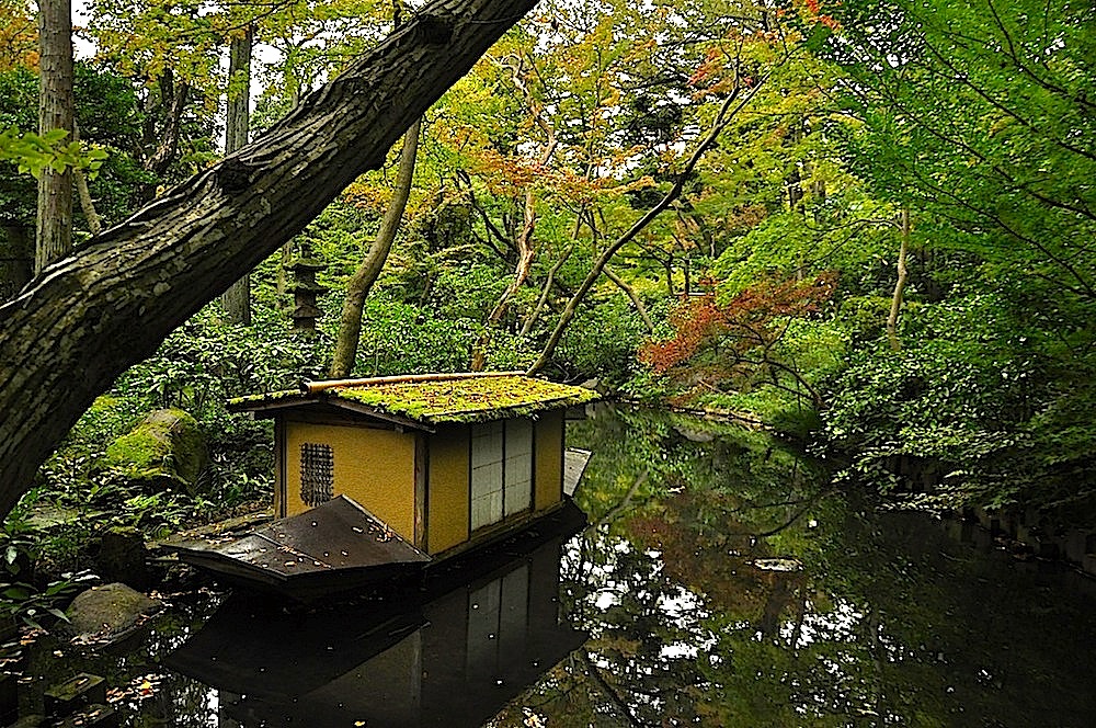 日本の秋  その3　- Autumn in Japan  #3 -_e0305164_33154.jpg