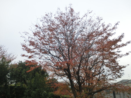 b0190666_22332732.jpg