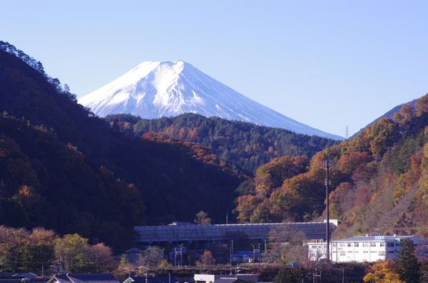 陽だまりの中で_e0167571_22351970.jpg