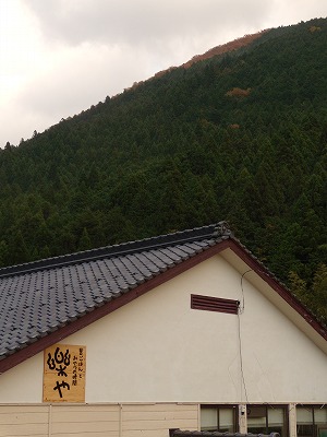 ここまでやってきた。_d0165772_20595788.jpg