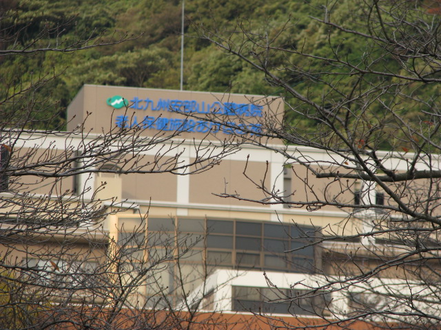 b0161073_0152123.jpg