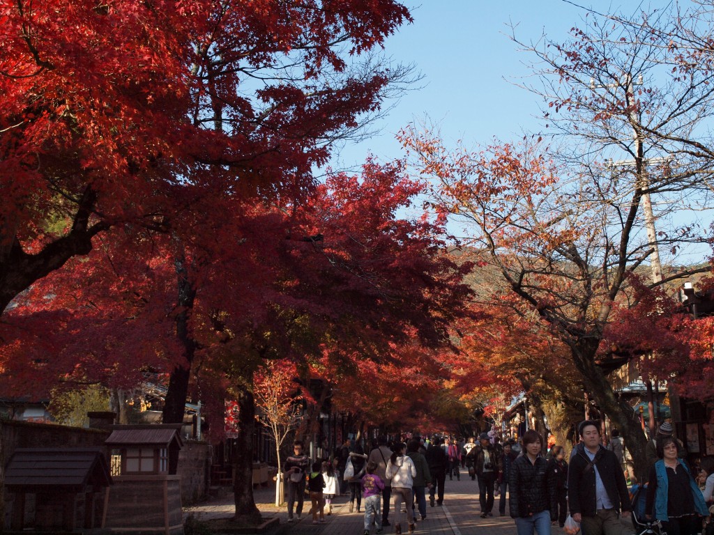 『紅葉の谷汲山華厳寺風景』_d0054276_20401985.jpg