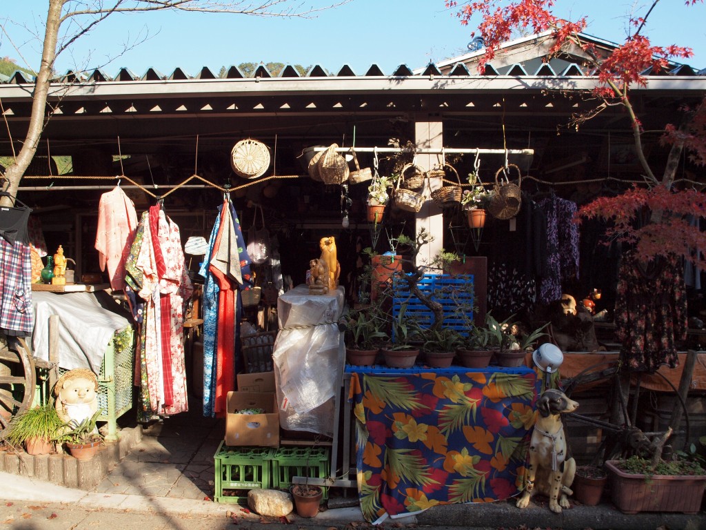 『紅葉の谷汲山華厳寺風景』_d0054276_20404213.jpg