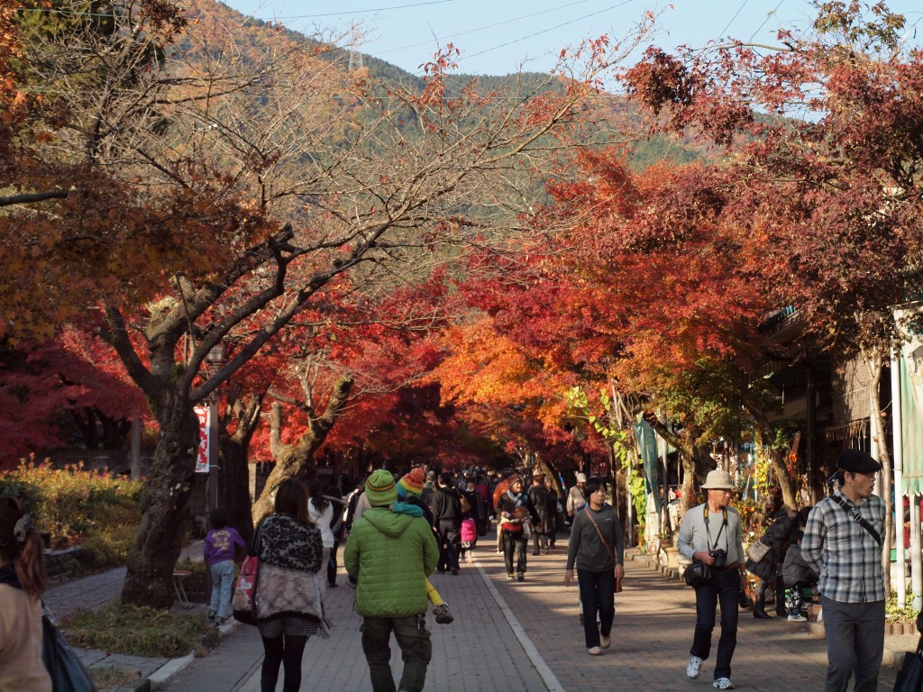 『紅葉の谷汲山華厳寺風景』_d0054276_2040690.jpg