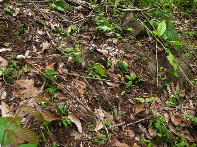 a0067578_22294325.jpg