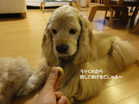 f0218182_11400665.jpg