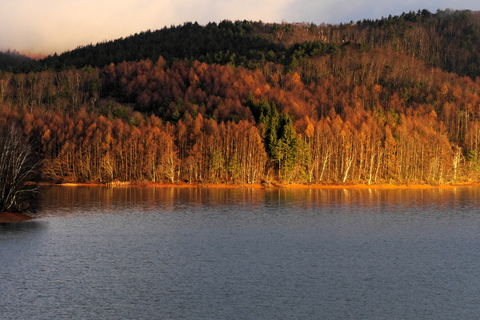 c0061284_17255253.jpg