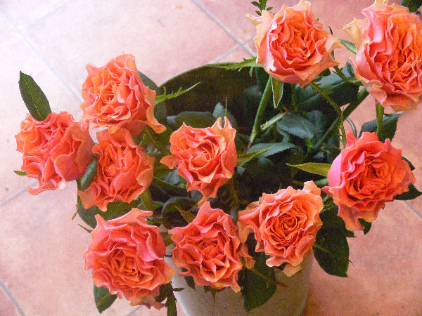 e0140986_1332431.jpg