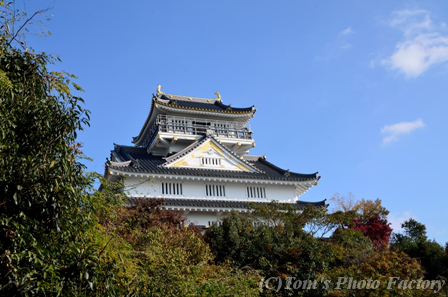 岐阜～岐阜城The登城-3- : Tomの一人旅～気のむくまま、足のむく