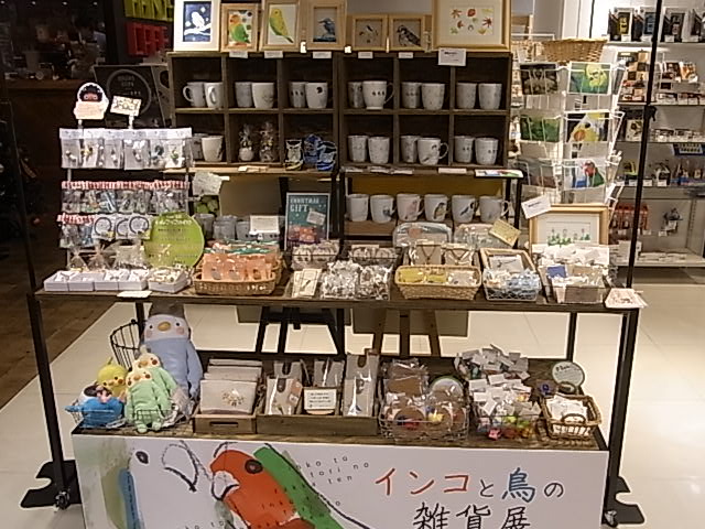 東急ﾊﾝｽﾞ梅田店にインコと鳥の雑貨展、お届けしました_d0322493_011777.jpg