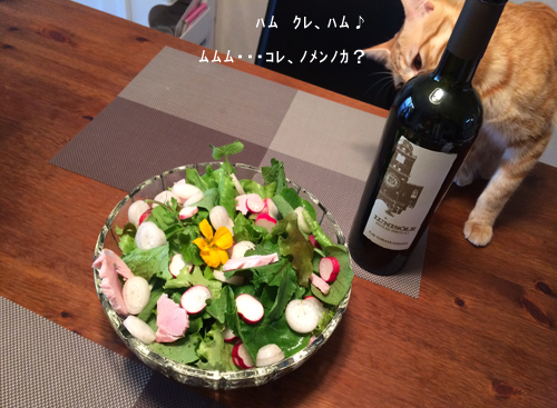 a0153395_033981.jpg