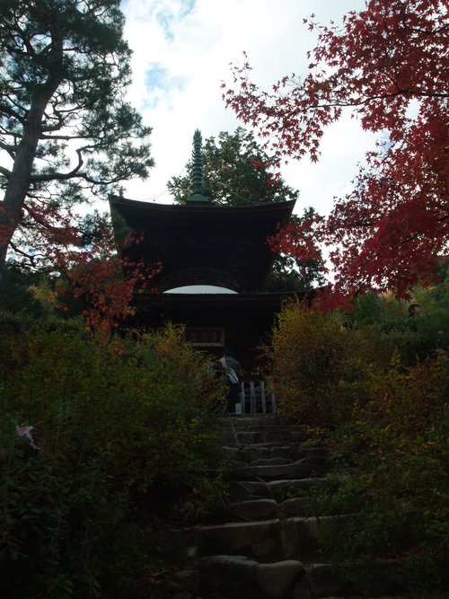 秋の京都_d0105395_494038.jpg