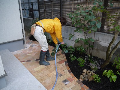 2013年 河内長野市の庭_a0233896_1434206.jpg
