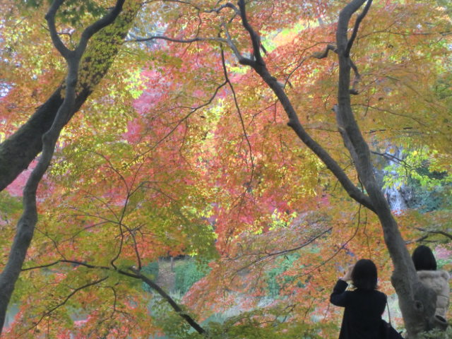 b0044296_21302433.jpg