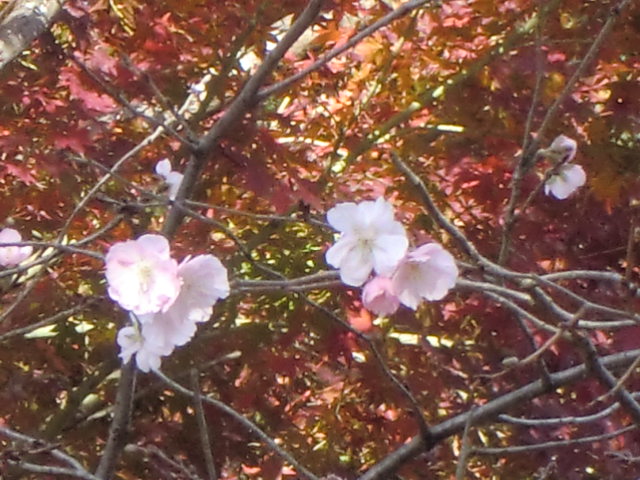 b0044296_21355246.jpg