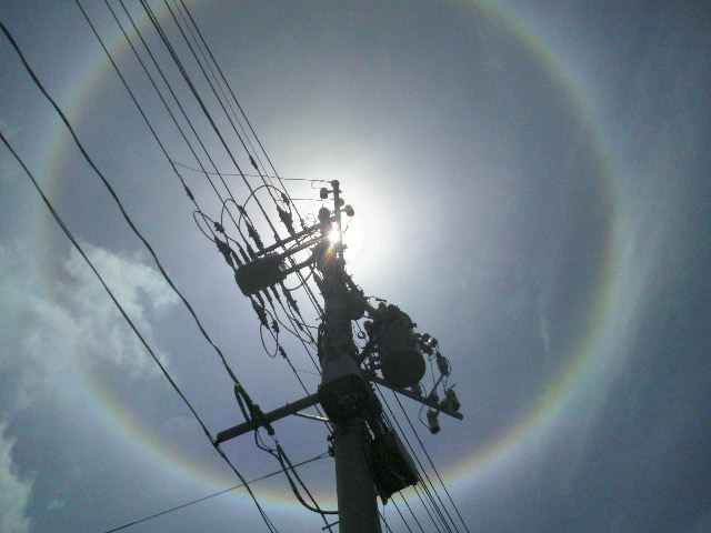 未、初、珍の写真紹介。_d0129296_236676.jpg