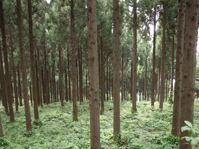 f0217896_1352240.jpg