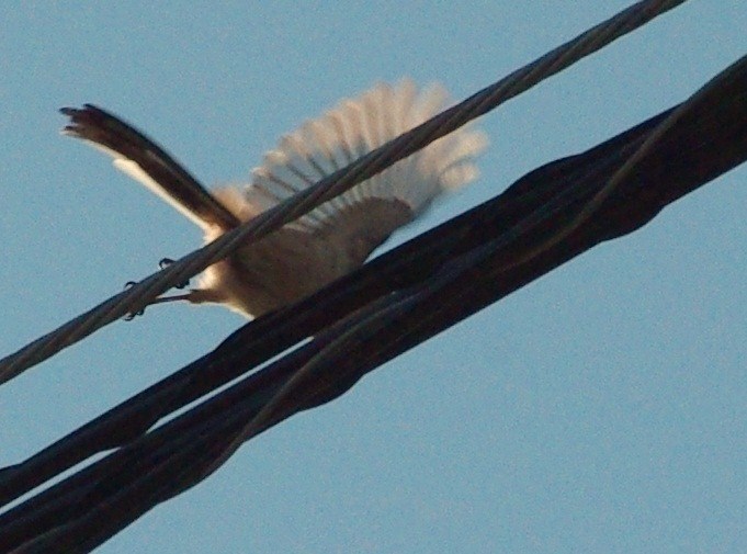 b0028598_19481047.jpg