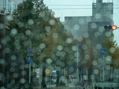 b0067598_16073029.jpg