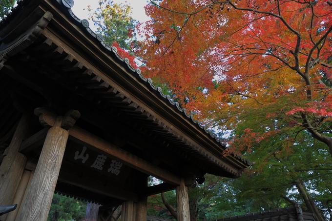 北鎌倉 円覚寺の紅葉_b0275998_9251630.jpg