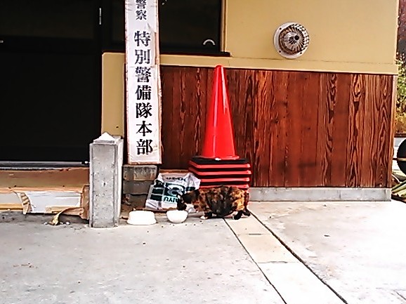 a0318802_9481366.jpg