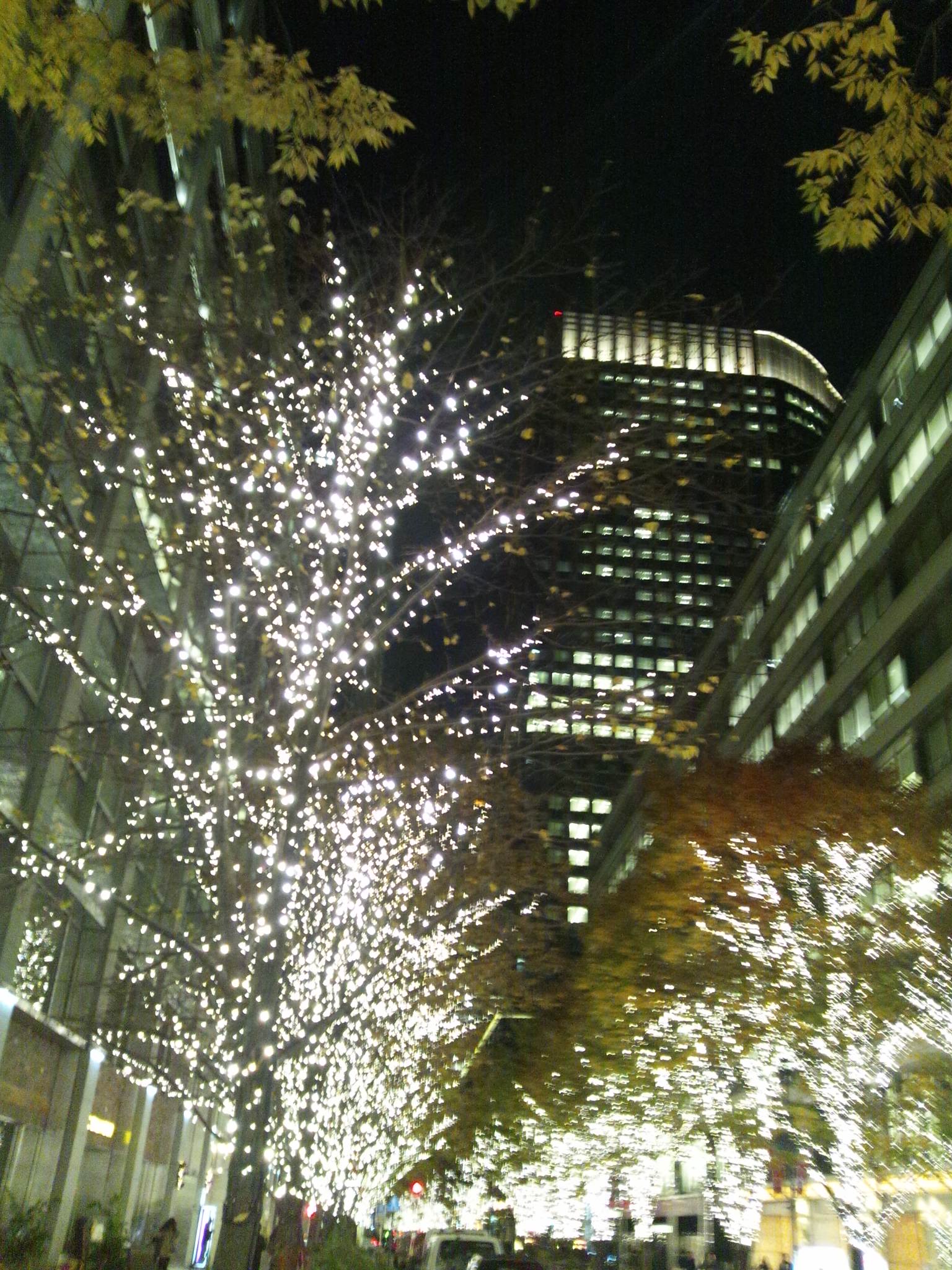 f0310706_0115914.jpg