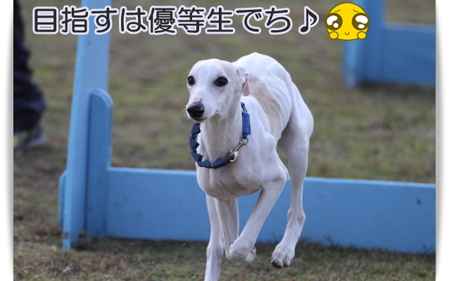 e0100007_22132621.jpg