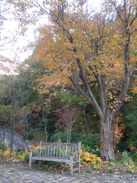 c0062511_212503.jpg