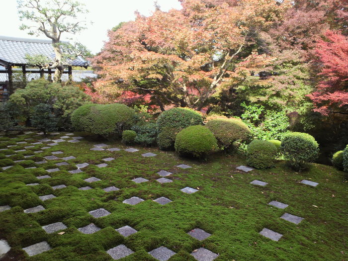 e0099212_16144881.jpg