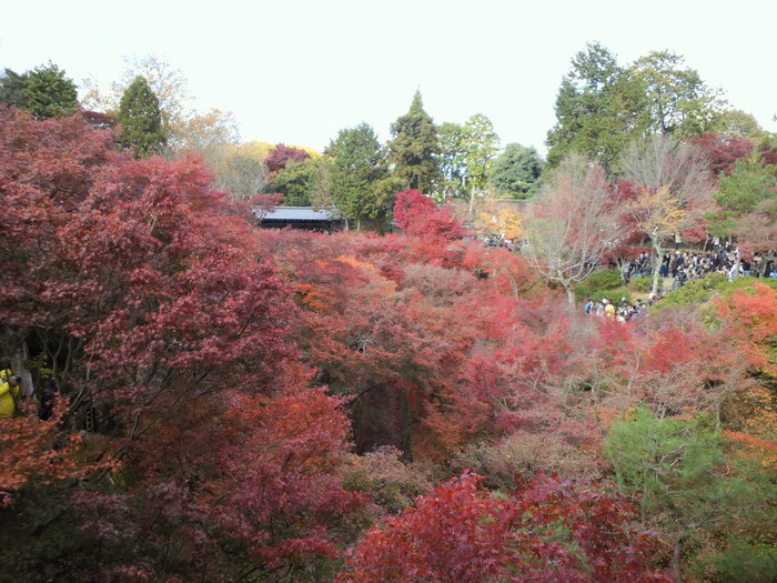 e0099212_1624890.jpg