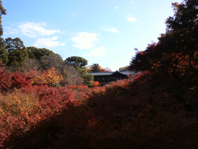 e0099212_1694390.jpg