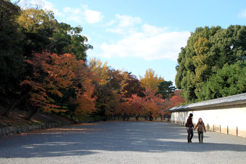 二条城　13紅葉だより49_e0048413_16273247.jpg