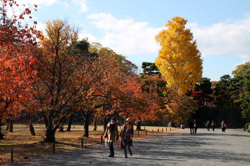 二条城　13紅葉だより49_e0048413_16274336.jpg