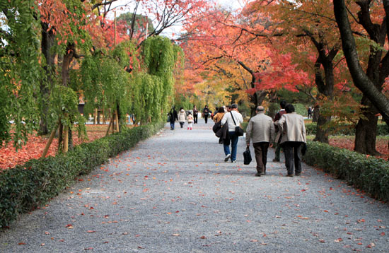 二条城 13紅葉だより49_e0048413_16281962.jpg