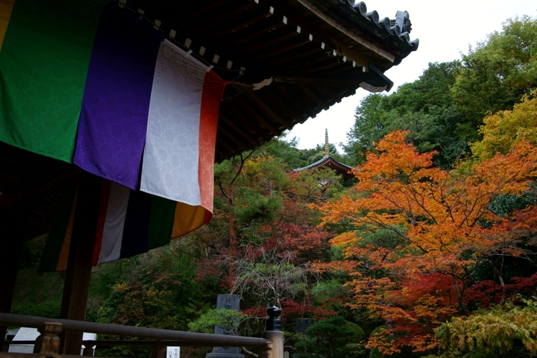 今熊野観音寺_e0177413_215285.jpg