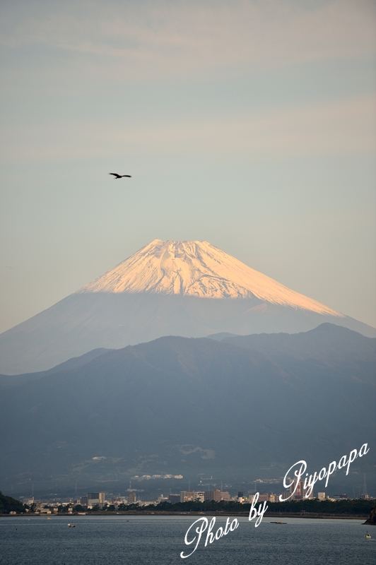 秋の旅行　　西伊豆紀行（その２）_d0282718_21381247.jpg