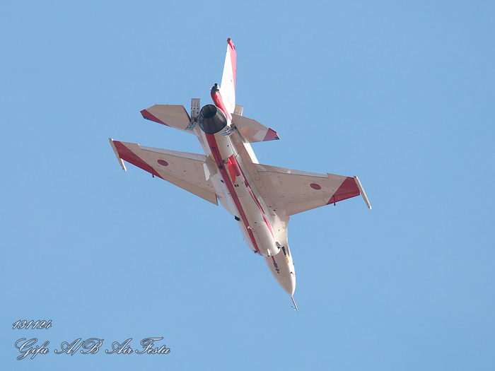 2013 岐阜基地 航空祭_b0199119_855136.jpg