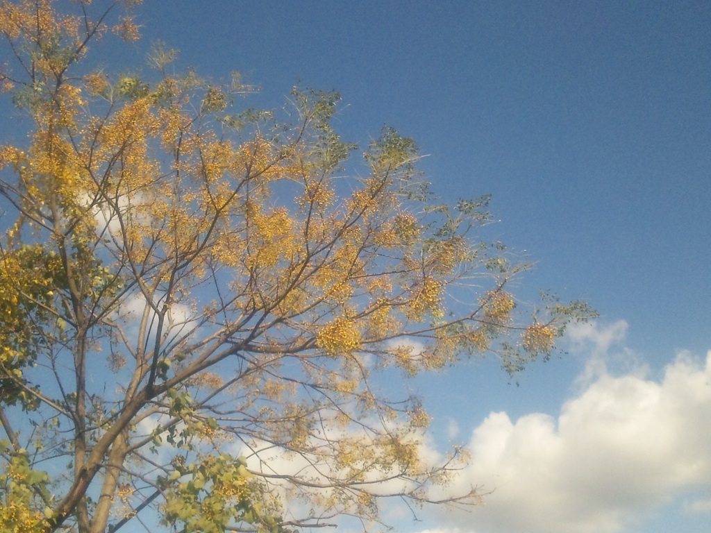 f0228619_1758469.jpg