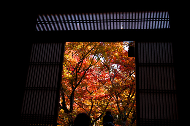 2013京都紅葉散策　圓光寺その１_d0080120_21595452.jpg