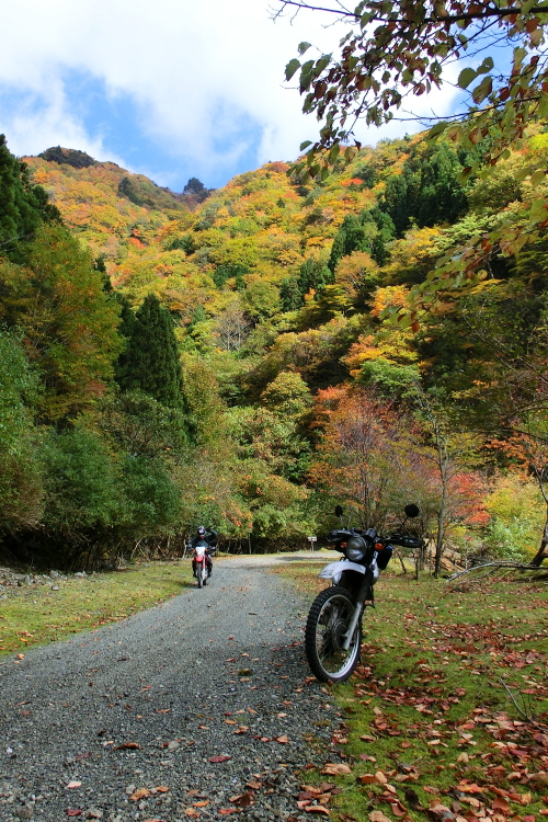 f0248120_22445228.jpg