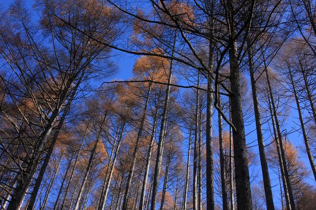e0242721_173727.jpg