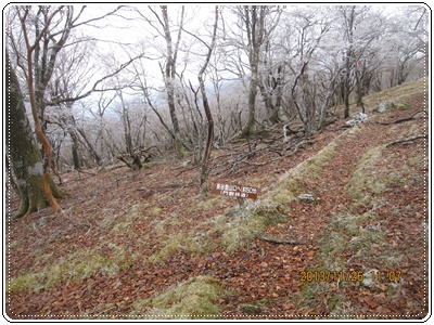 f0193521_19422610.jpg