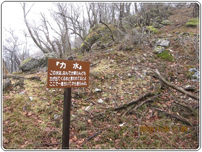 f0193521_19441154.jpg