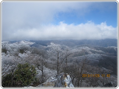 f0193521_19501120.jpg