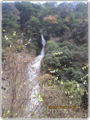 f0193521_19584590.jpg